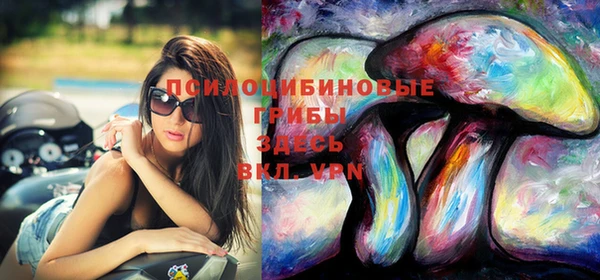 круглые Бронницы