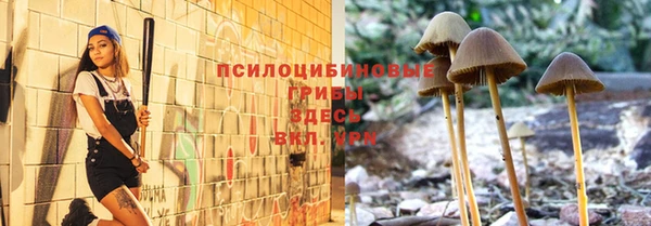круглые Бронницы