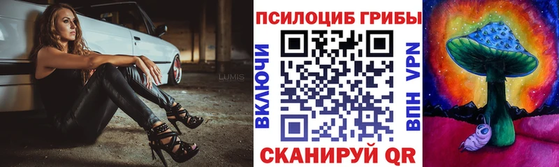 закладка  Мещовск  Галлюциногенные грибы ЛСД 
