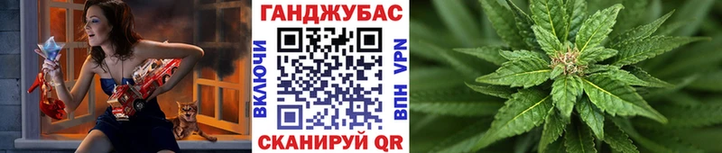 как найти закладки  Мещовск  Конопля ГИДРОПОН 
